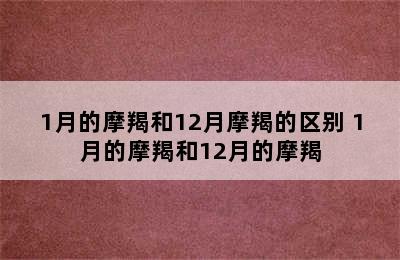 1月的摩羯和12月摩羯的区别 1月的摩羯和12月的摩羯